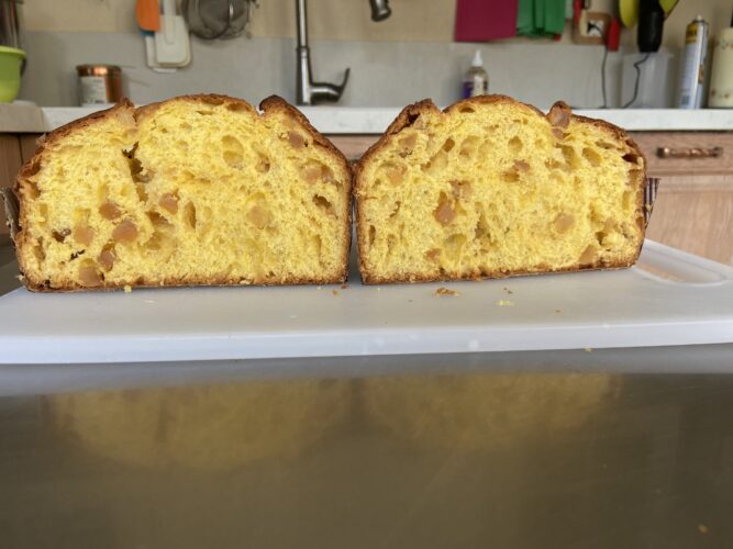 sezione panettone semola cioccolato
