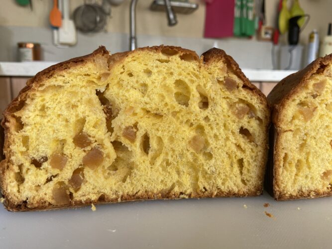 sezione panettone semola cioccolato