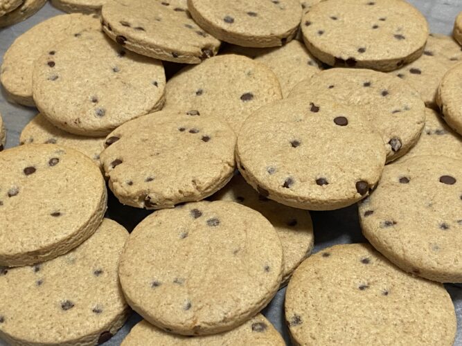 biscotti vegani nocciola