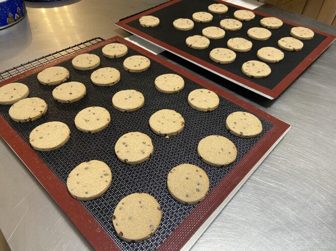 biscotti vegani nocciola