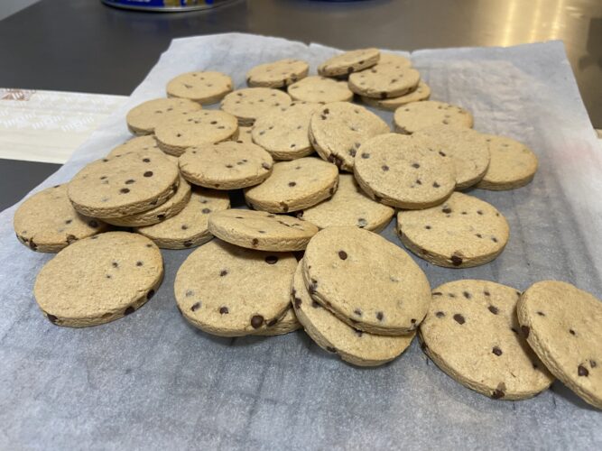 biscotti vegani nocciola