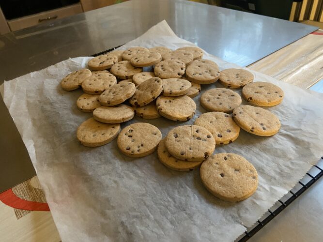 biscotti vegani nocciola