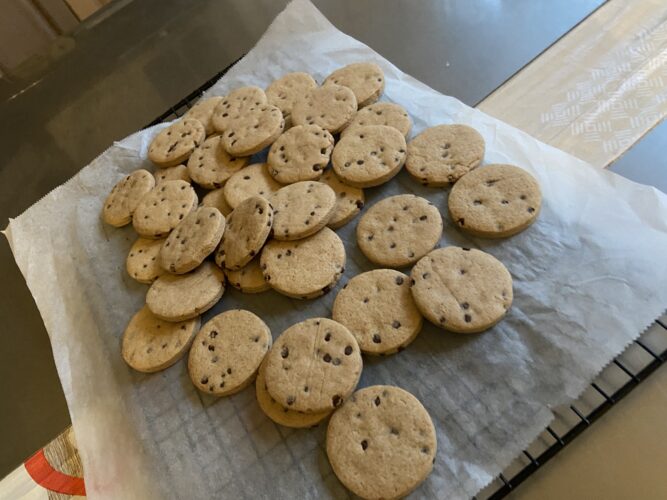 biscotti vegani nocciola