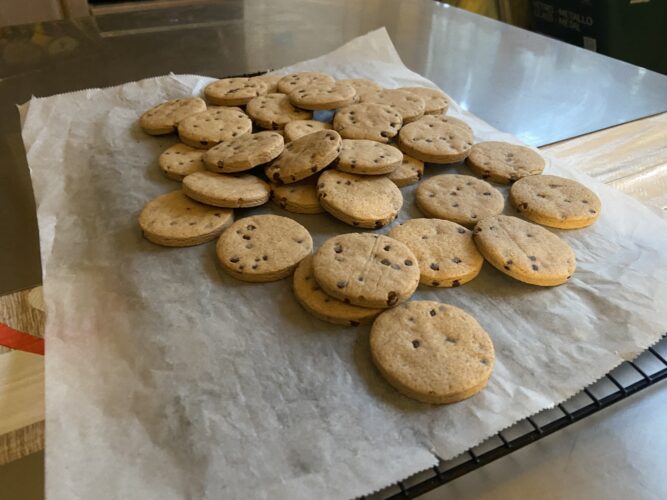 biscotti vegani nocciola