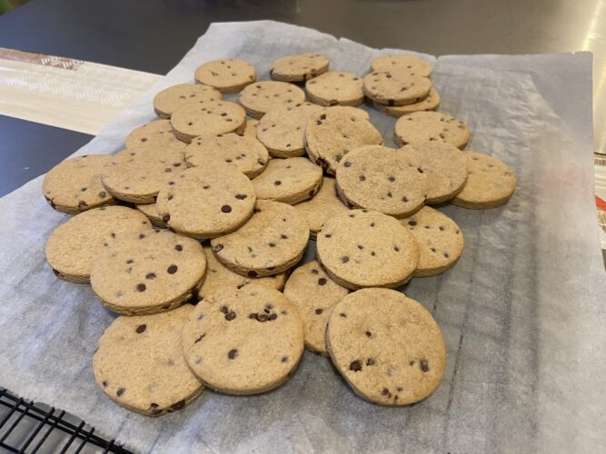biscotti vegani nocciola