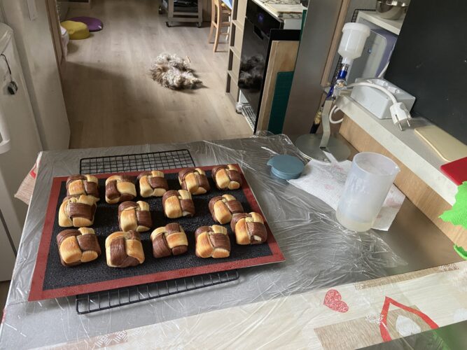 mini quadretto croissant bicolor
