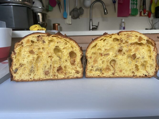 novita panettone 2026
