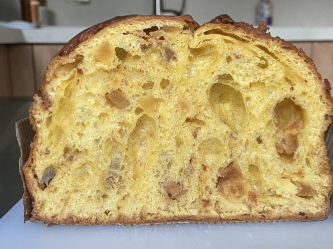 novita panettone 2026