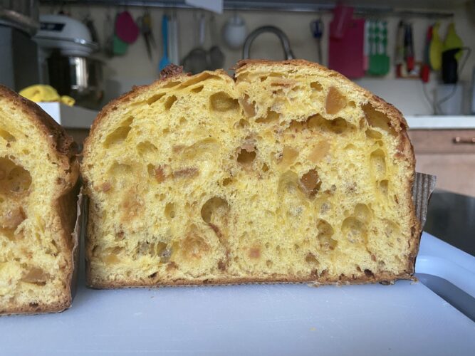 novita panettone 2026