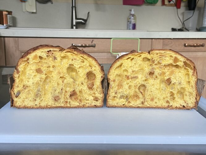 novita panettone 2026