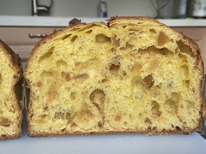 novita panettone 2026
