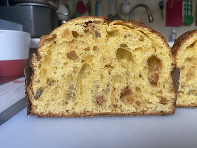 novita panettone 2026