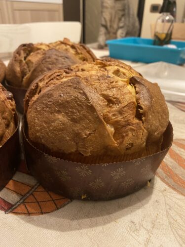 panettone novita 2026